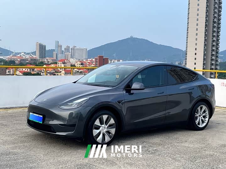 Tesla Model Y 2022 Rear-Wheel Drive - ავტომობილი ჩინეთიდან