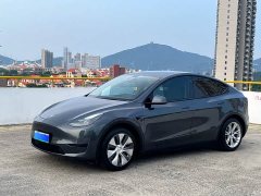Tesla Model Y 2022 Rear-Wheel Drive - ფოტო 1