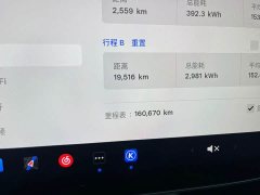 Tesla Model Y 2022 Rear-Wheel Drive - ფოტო 8