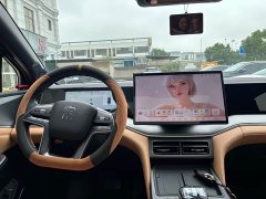 BYD Song L DM-i 160km Exceed - ფოტო 11