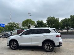 BYD Song Pro New Energy New Energy 2022 DM-i 51km Premium - ფოტო 7