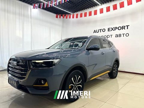 2022 Haval H6 2021 National Trend 1.5T Automatic Champion Edition - ავტომობილი ჩინეთიდან