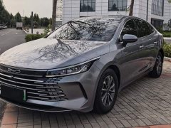 BYD Destroyer 05 Champion Edition DM-i 55KM Luxury - ფოტო 1