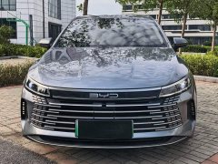 BYD Destroyer 05 Champion Edition DM-i 55KM Luxury - ფოტო 2