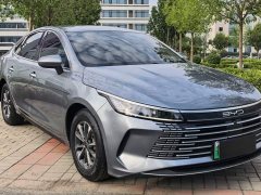 BYD Destroyer 05 Champion Edition DM-i 55KM Luxury - ფოტო 3