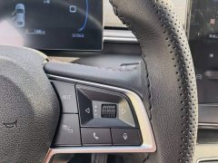 BYD Destroyer 05 Champion Edition DM-i 55KM Luxury - ფოტო 6