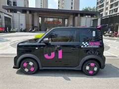 Geely Panda 200km Panda Kart - ფოტო 3