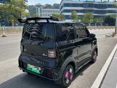 Geely Panda 200km Panda Kart - ფოტო 5