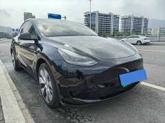 Tesla Model Y Rear-Wheel Drive - ფოტო 3
