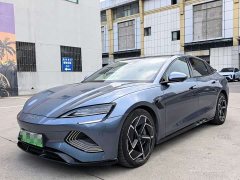 BYD Dolphin Champion Edition 700km Performance Version - ფოტო 1