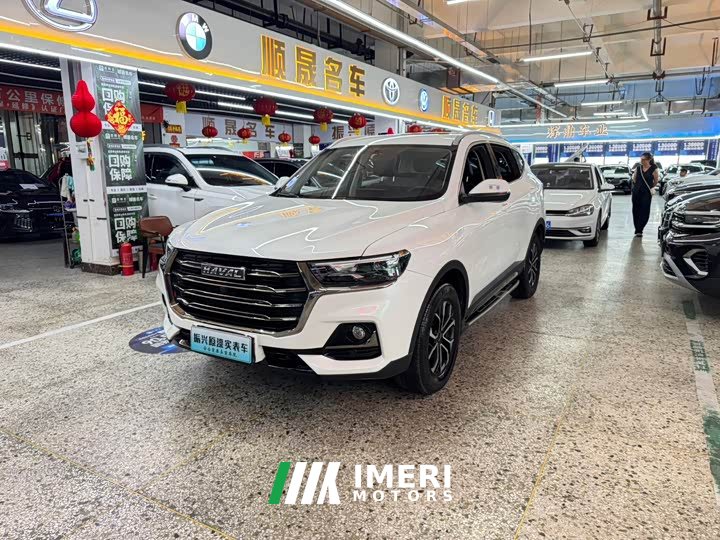 Haval H6 2021 National Trend Edition 1.5T Automatic Urban Version - ავტომობილი ჩინეთიდან