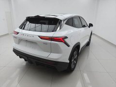 Jetour Jietu Dasheng 1.5T DCT Starlight PRO - ფოტო 6