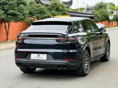 Porsche 2022 Cayenne Coupé 3.0T Platinum - ფოტო 6