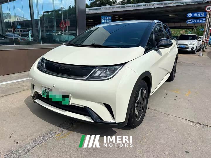 BYD Dolphin 405km Fashion Edition - ავტომობილი ჩინეთიდან