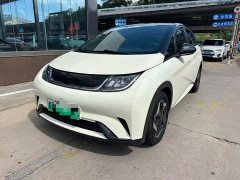 BYD Dolphin 405km Fashion Edition - ფოტო 1