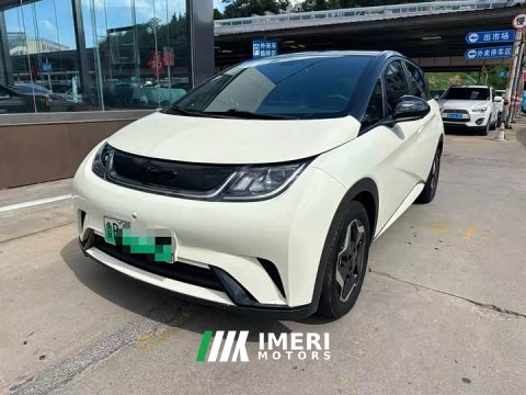 2022 BYD Dolphin 405km Fashion Edition - ავტომობილი ჩინეთიდან