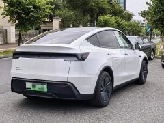 Tesla Model Y Rear-Wheel Drive - ფოტო 6