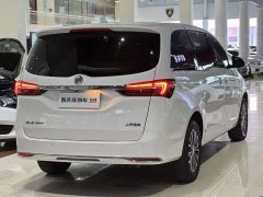 Buick GL8 Land Business Class 652T Luxury - ფოტო 4