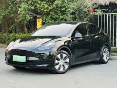 Tesla Model Y Rear-Wheel Drive - ფოტო 1