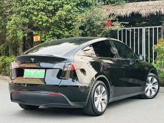 Tesla Model Y Rear-Wheel Drive - ფოტო 9