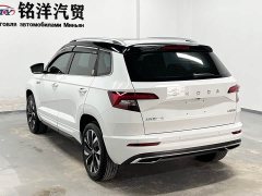 Skoda Karoq TSI280 Edition - ფოტო 6