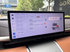 ORA Lightning Cat 555km Deluxe Edition - ფოტო 12