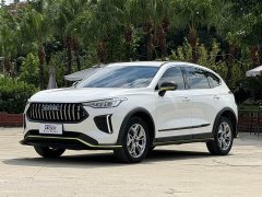 Haval Chitu 2022 Jingxiang Edition 1.5T Purple Copper Rabbit - ფოტო 1