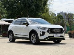 Haval Chitu 2022 Jingxiang Edition 1.5T Purple Copper Rabbit - ფოტო 3