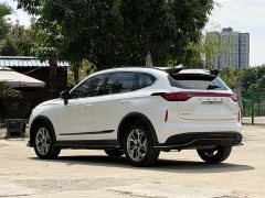 Haval Chitu 2022 Jingxiang Edition 1.5T Purple Copper Rabbit - ფოტო 4