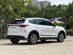 Haval Chitu 2022 Jingxiang Edition 1.5T Purple Copper Rabbit - ფოტო 6