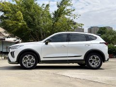 Haval Chitu 2022 Jingxiang Edition 1.5T Purple Copper Rabbit - ფოტო 7