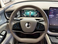 Denza BYD Denza D9 DM-i 970 AWD Premium Edition - ფოტო 10