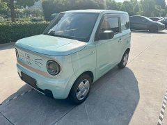 Geely Panda Mini 200km Endurance Edition - ფოტო 1