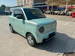 Geely Panda Mini 200km Endurance Edition - ფოტო 3