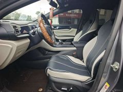 BYD Qin PLUS EV 500KM Luxury - ფოტო 4