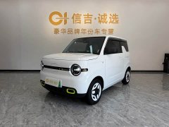 Geely Panda Mini 210km Vitality Edition - ფოტო 1