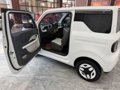 Geely Panda Mini 210km Vitality Edition - ფოტო 9