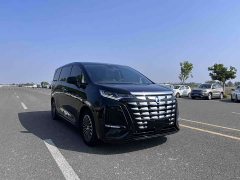 Denza BYD Denza D9 2022 DM-i 1040 Premium - ფოტო 3