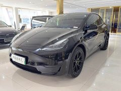 Tesla Model Y Rear-Wheel Drive - ფოტო 1