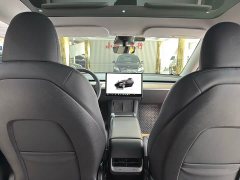 Tesla Model Y Rear-Wheel Drive - ფოტო 12