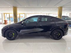 Tesla Model Y Rear-Wheel Drive - ფოტო 3