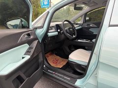 Geely Geometry E Firefly 301km Starlight - ფოტო 4