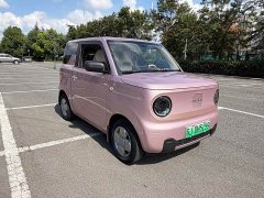 Geely Panda 2023 Panda Mini 200km Endurance Edition - ფოტო 3