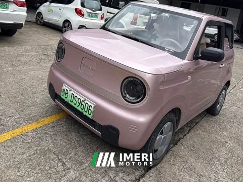 2023 Geely Panda Mini 200km Agile Panda - ავტომობილი ჩინეთიდან