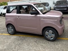 Geely Panda Mini 200km Agile Panda - ფოტო 3