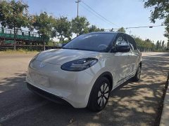 Wuling Binguo 333km Lingxi Connected Edition - ფოტო 1