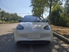 Wuling Binguo 333km Lingxi Connected Edition - ფოტო 2