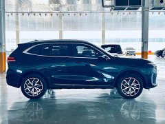 Great Wall DHT-PHEV 1.5T AWD - ფოტო 7