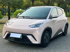BYD Seagull Vitality Edition - ფოტო 1