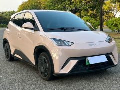 BYD Seagull Vitality Edition - ფოტო 3